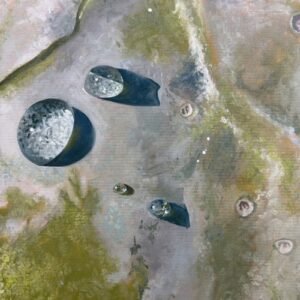 Cabbage Leaf Droplets